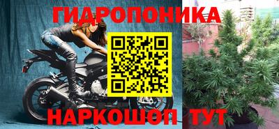 дурь Кингисепп