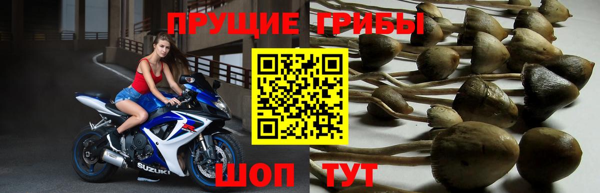 Псилоцибиновые грибы мухоморы  Вход с VPN  Псилоцибиновые грибы MAGIC MUSHROOMS  Королёв 