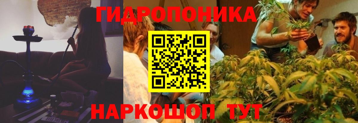 Марихуана план  Вход с VPN  Марихуана марихуана  Королёв 